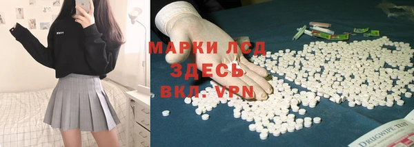 ГАЛЛЮЦИНОГЕННЫЕ ГРИБЫ Магадан