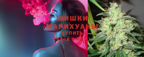 ГАЛЛЮЦИНОГЕННЫЕ ГРИБЫ Магадан