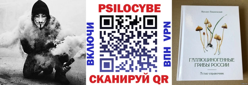 Купить закладки  Пласт  Галлюциногенные грибы Magic Shrooms 